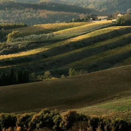 Villa Galearpe With Private Pool In Tuscany