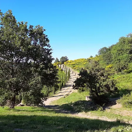 Galearpe With Private Pool In Tuscany Villa *